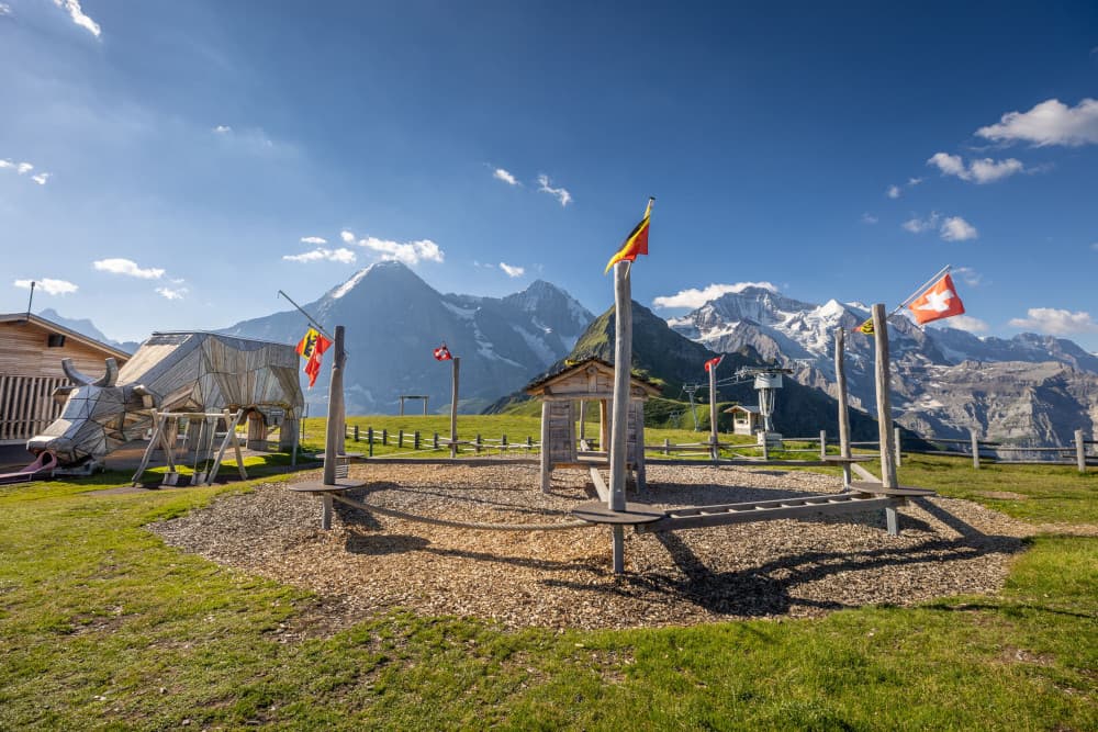 Alpine Herdsman's playground (Männlichen)